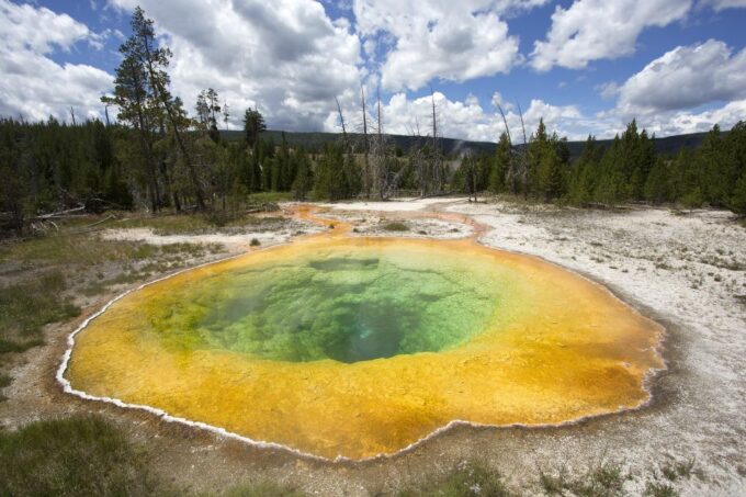From Jackson: Yellowstone National Park Day Trip With Lunch - Frequently Asked Questions