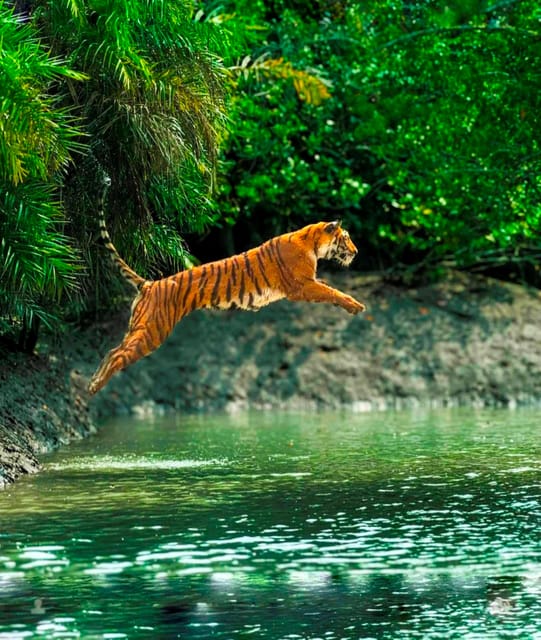 From Jaipur : 2 Days 1 Night Ranthambore Tiger Safari Tour - Day 1: Jaipur to Ranthambore