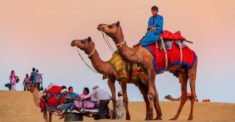 From Jaipur: 6-Day Private Rajasthan Royal Tour With Hotel - Key Points