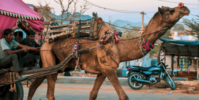 From Jaipur : Ajmer Pushkar Private Tour by Cab With Guide - Dhai Din Ka Jhopra
