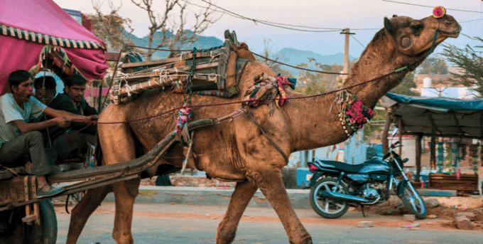 From Jaipur : Ajmer Pushkar Private Tour by Cab With Guide - Pushkar Lake and Brahma Temple