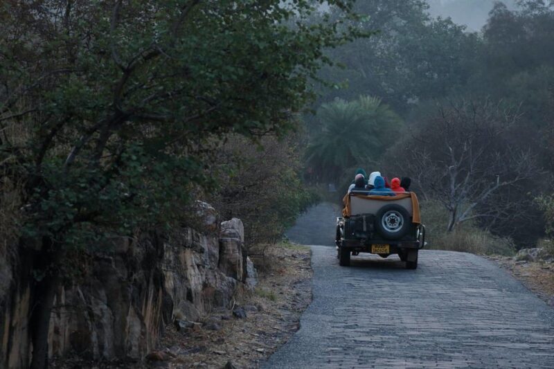 From Jaipur: Full-Day Trip to Ranthambore With Tiger Safari - Transportation and Itinerary