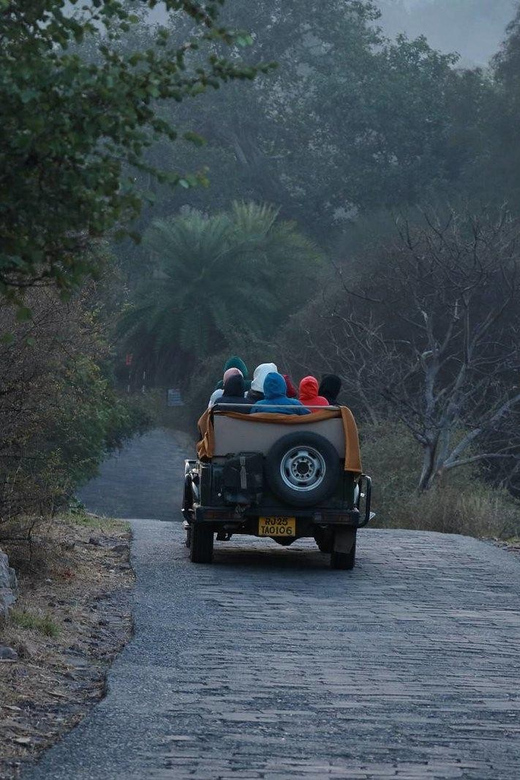 From Jaipur: Full-Day Trip to Ranthambore With Tiger Safari - Safari Timings