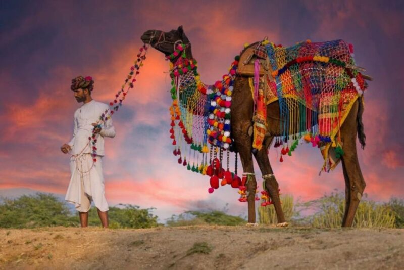 From Jaipur: One-Day Trip From Jaipur to Pushkar - Required Items and Restrictions