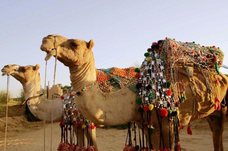 From Jaipur : Private Ajmer Pushkar Tour by Cab - Itinerary Details