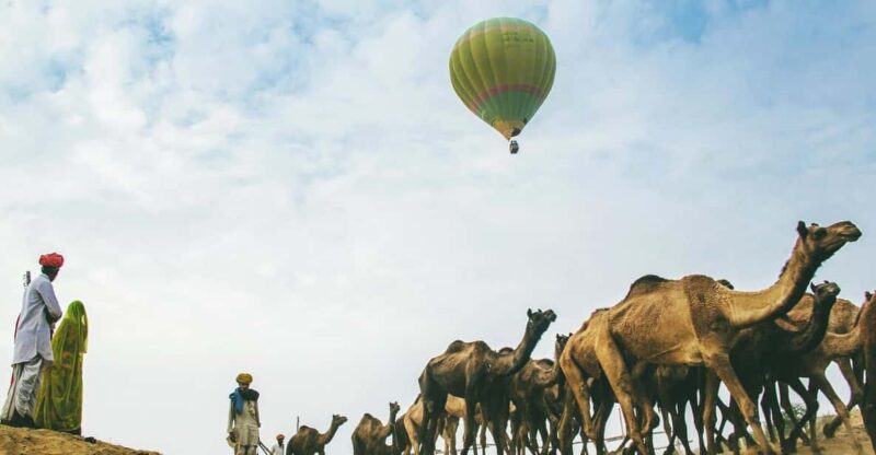From Jaipur: Private Day Trip to the Holy City of Pushkar - Transportation Options and Pickup