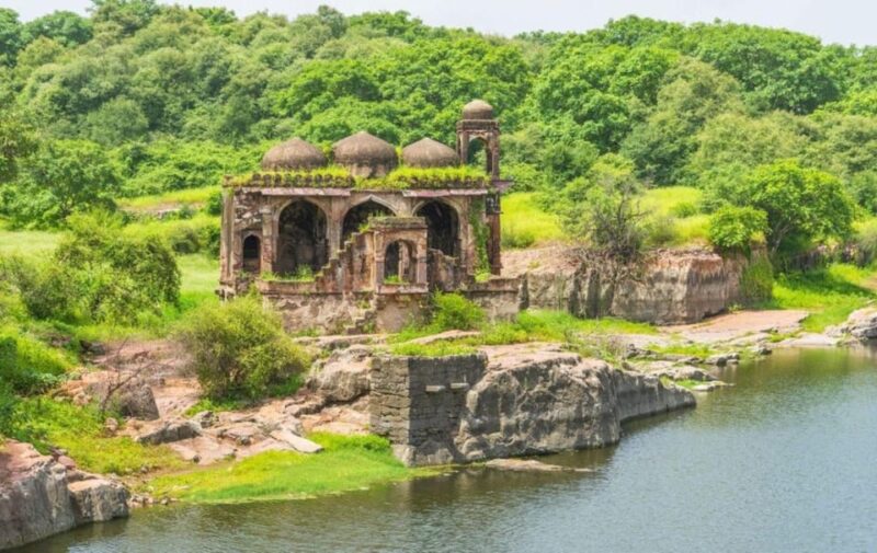 From Jaipur: Private Ranthambore Day Trip With Tiger Safari - Safari Experience