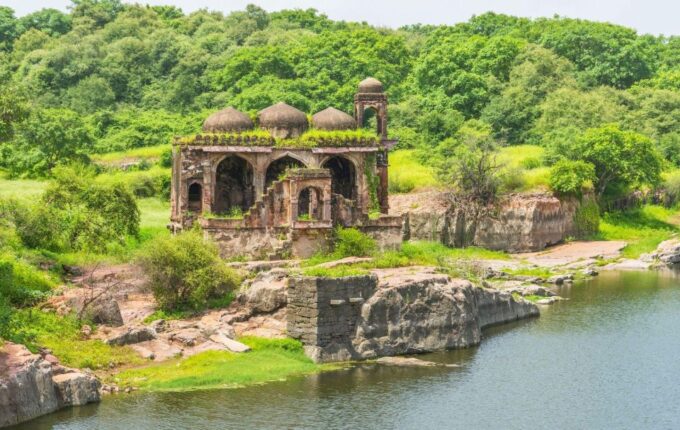 From Jaipur: Private Ranthambore Day Trip With Tiger Safari - Important Requirements