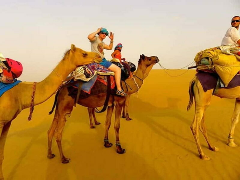 From Jaipur: Private Same Day Ajmer & Pushkar Day Trip - Key Points