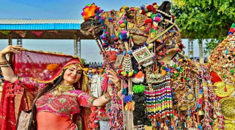 From Jaipur: Private Same Day Ajmer & Pushkar Day Trip - The Itinerary: What You’ll Experience