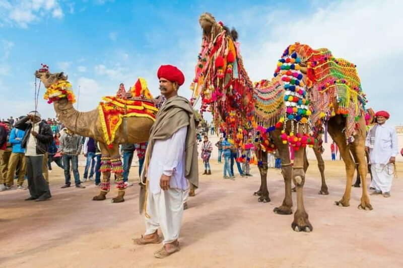 From Jaipur: Private Same Day Ajmer & Pushkar Day Trip - Who Should Opt for This Tour?