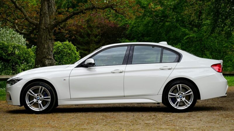 From Jaipur: Private Transfer To/From Ranthambore and Jaipur - Driver Expertise