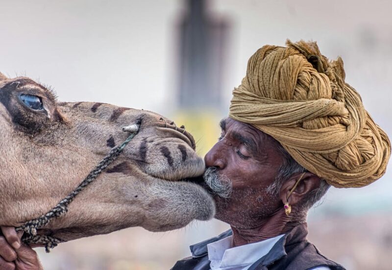 From Jaipur: Pushkar and Ajmer Day Trip With Camel Ride. - Ajmer Shrine Visit