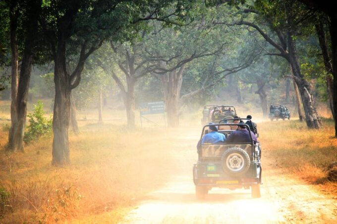 From Jaipur: Ranthambore National Park Day Trip With Safari - Additional Information