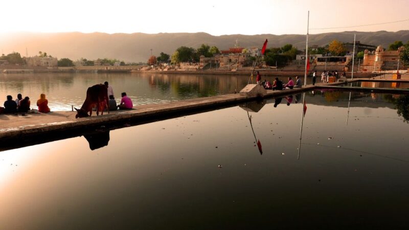 From Jaipur : Same Day Temples Tour of Sacred City Pushkar - Important Information and Requirements