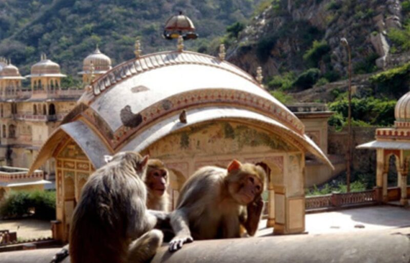 From Jaipur : Self-Guided Abhaneri Stepwell Half-Day Tour - Inclusions