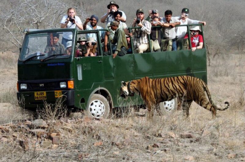 From Jaipur: Tiger Safari in Ranthambore National Park - Ranthambore National Park Details