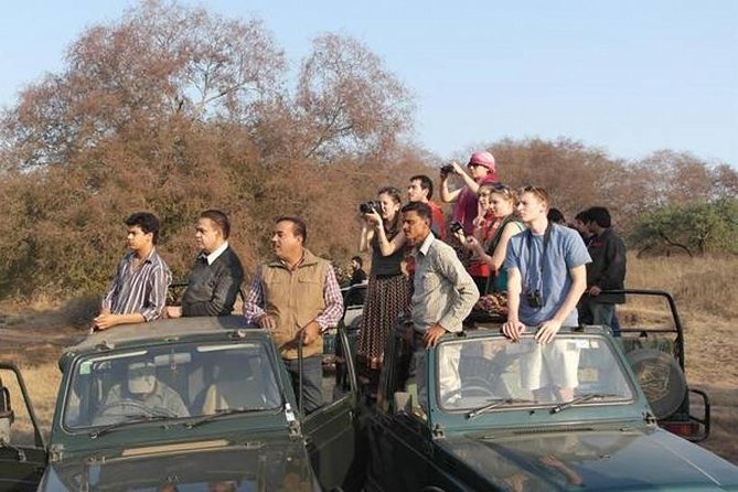 From Jaipur - Wildlife With Taj Mahal Agra & Delhi Drop off 4 Day - Inclusions