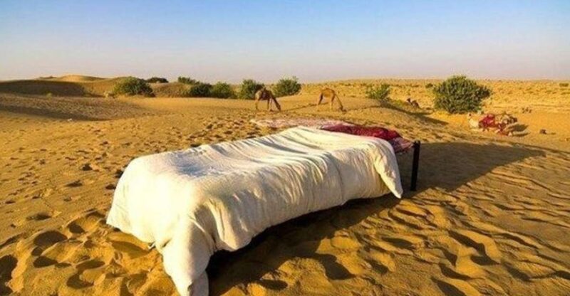 From Jaisalmer: Private Trip Under Stars With Camel Safari - Experience Highlights