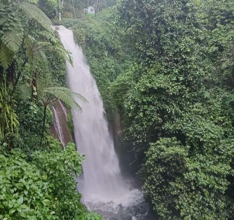 From Jakarta: Bogor Botanical Garden, Ricefield, & Waterfall - Key Points