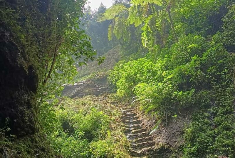 From Jakarta: Bogor Botanical Garden, Ricefield, & Waterfall - The Sum Up