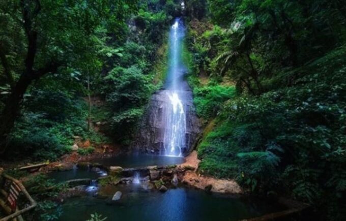 From Jakarta: Explore Safari Park,Waterfall & Tea Plantation - Itinerary and Schedule