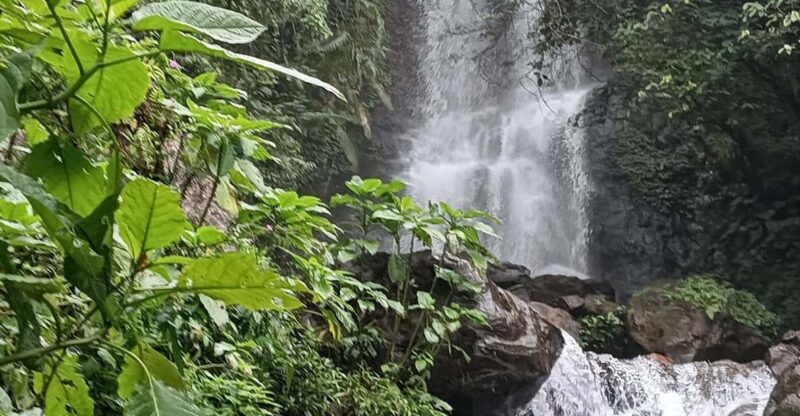 From Jakarta: Java Trip - Key Points