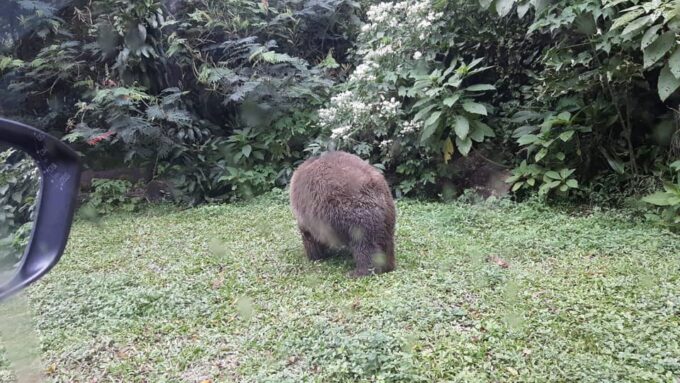 From Jakarta Private Taman Safari Day Tour - Frequently Asked Questions