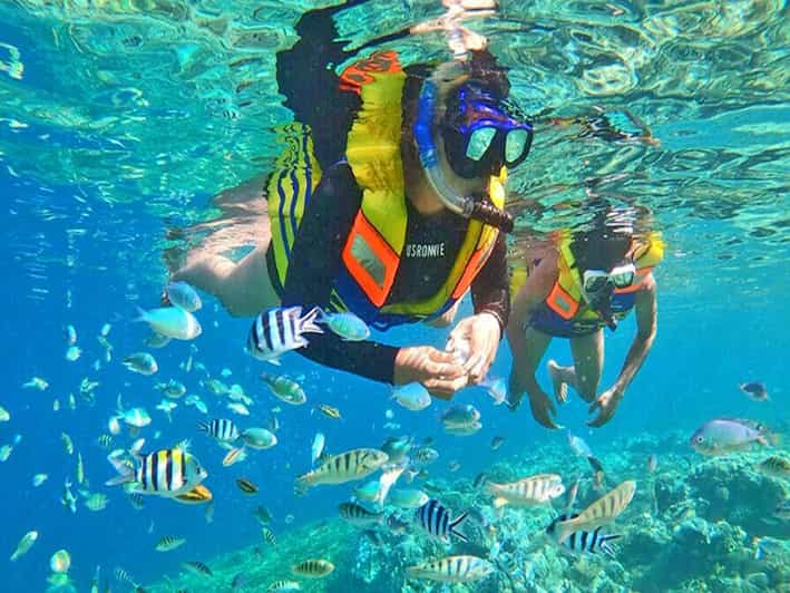 From Jakarta : Private Tour 5 Days 4 Night Jakarta Explore - Customer Feedback