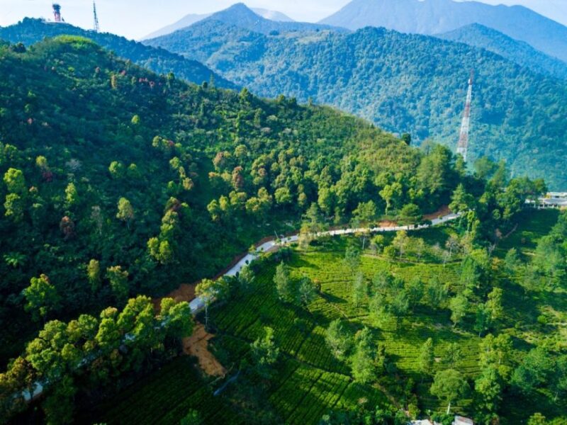 From Jakarta: Safari Park, Tea Plantation & Jaksa Waterfall - Customer Feedback