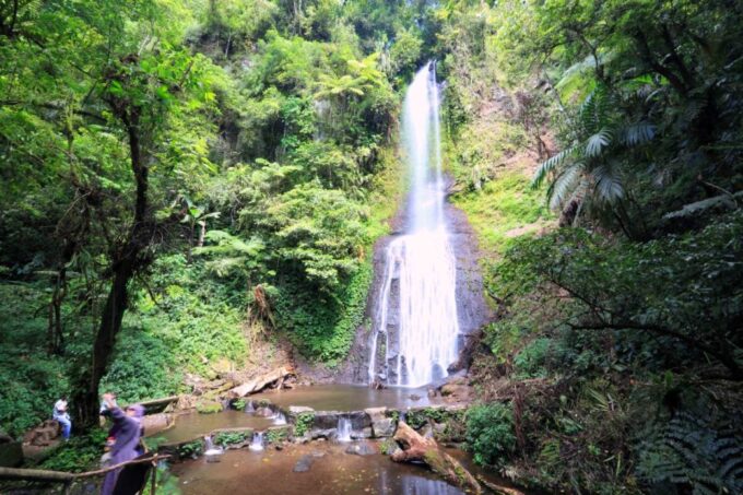 From Jakarta: Safari Park, Tea Plantation & Jaksa Waterfall - Jaksa Waterfall Adventure