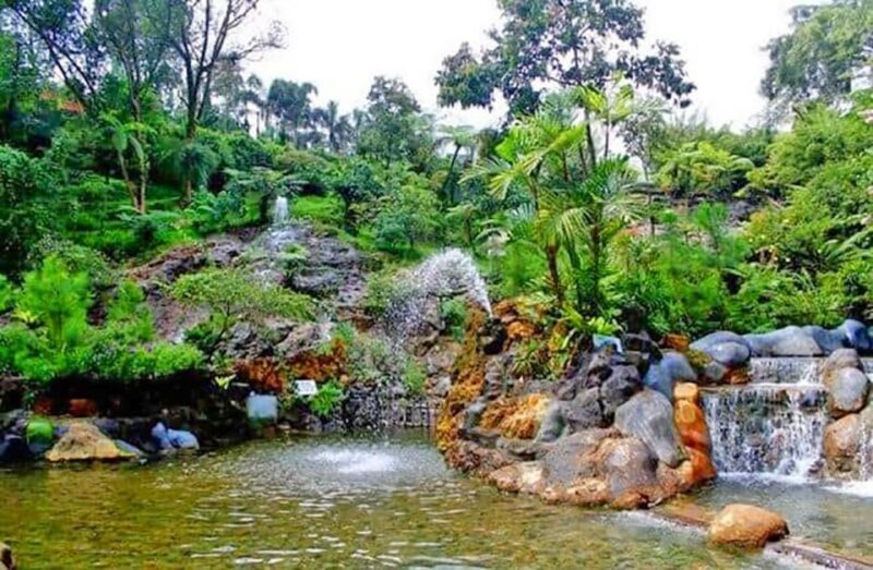 From Jakarta : Volcano, Tea & Rice Fields, Hot Spring - Inclusions and Pricing