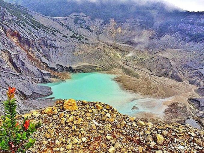 From Jakarta : Volcano, Tea & Rice Fields, Hot Spring - Important Information