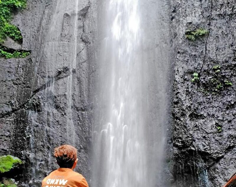 From Jakarta : Waterfall , Botanical Garden , Puppet Show - Key Points