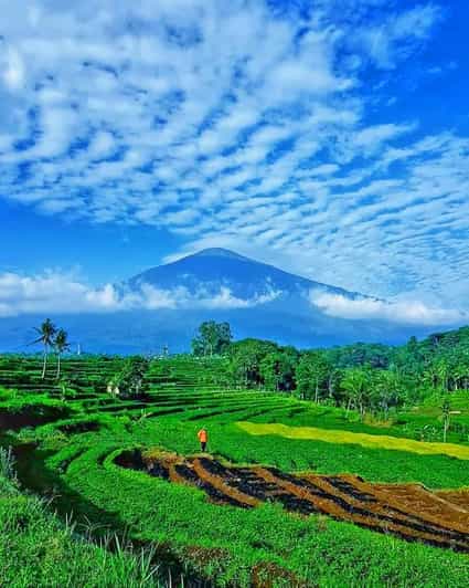 From Jakarta : Wonderful 3 Days With Tour Guide Italia - Jakarta Highlights