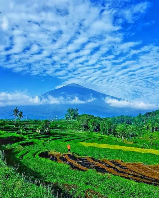 From Jakarta : Wonderful 3 Days With Tour Guide Italia - Booking Information
