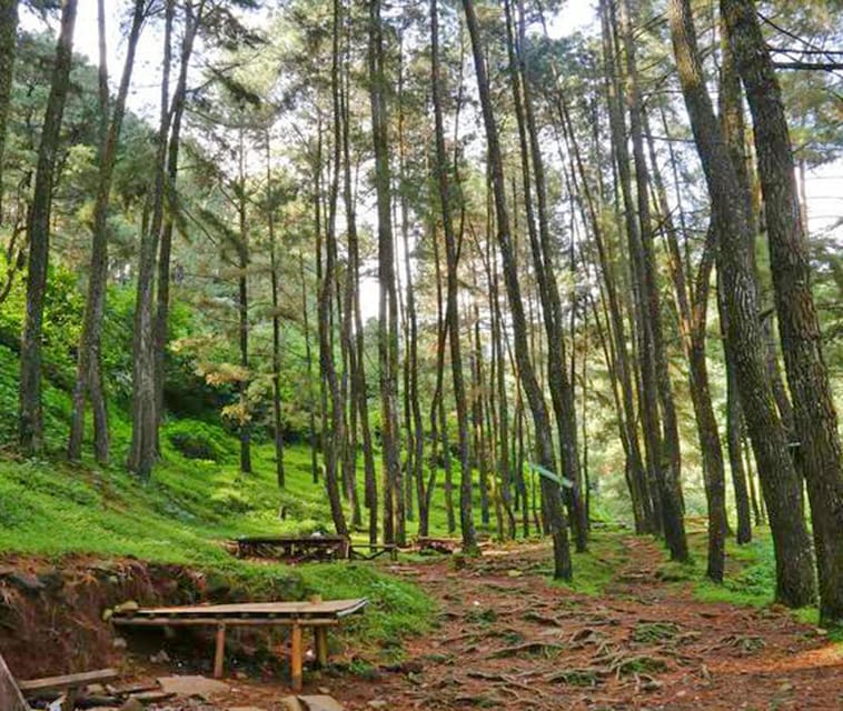 From Jakarta : Wonderful Jakarta In 3 Days Private Tour - Day 2: Discovering Bogor