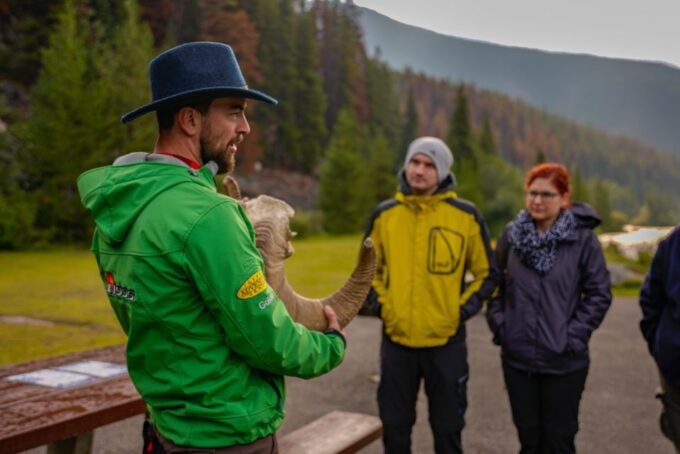 From Jasper: Jasper National Park Wildlife Discovery Tour - Park Wildlife