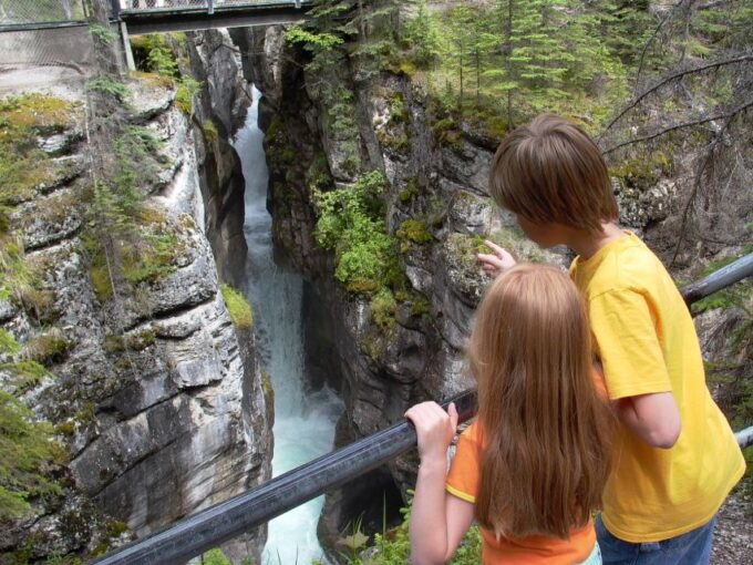 From Jasper: Jasper National Park Wildlife Discovery Tour - Frequently Asked Questions
