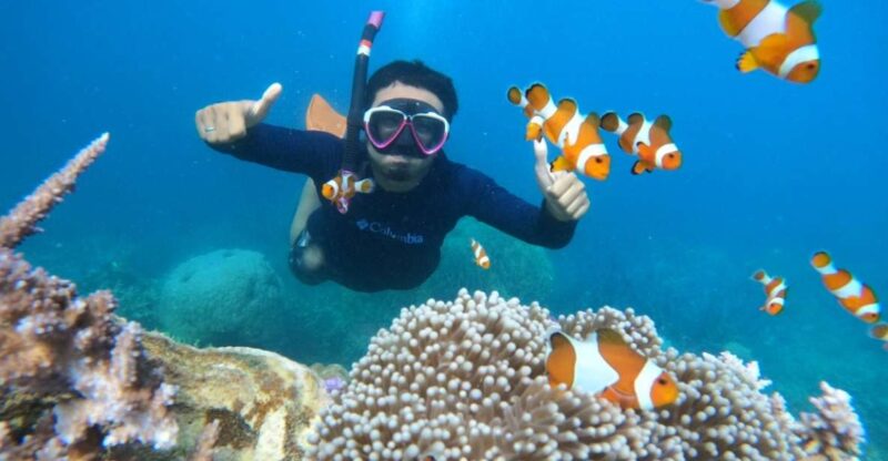 From Jepara: Karimunjawa Archipelago 3-Day Snorkeling Tour - Itinerary Highlights