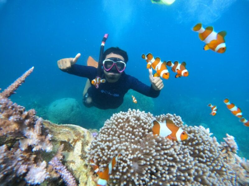 From Jepara: Karimunjawa Archipelago 3-Day Snorkeling Tour - Karimunjawa Archipelago