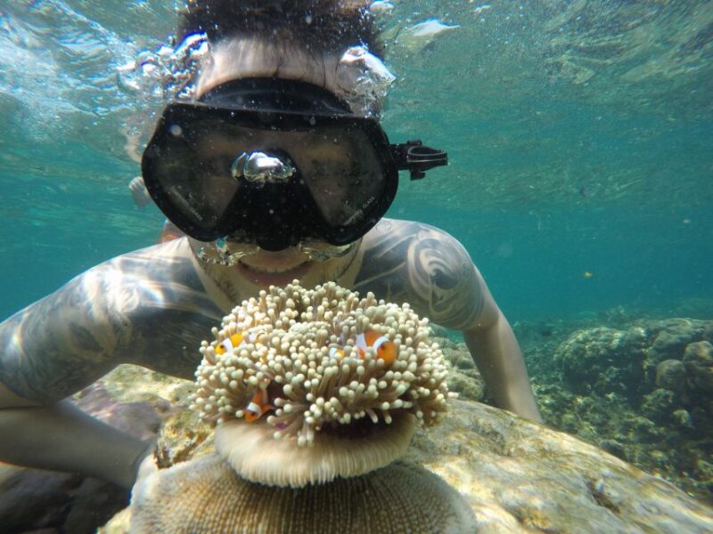 From Jepara: Karimunjawa Archipelago 3-Day Snorkeling Tour - Snorkeling and Activities