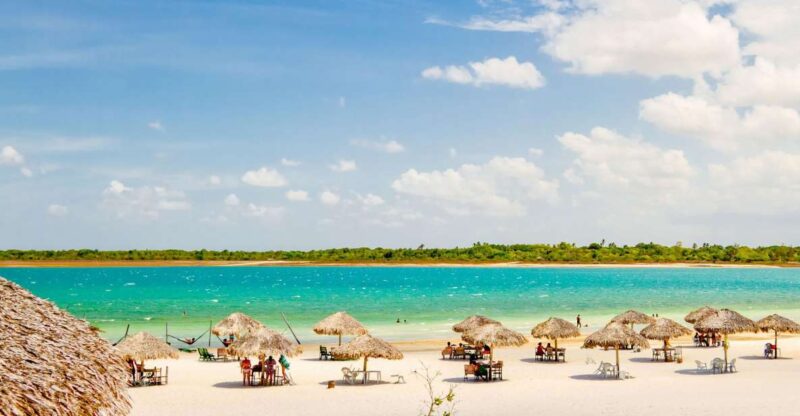 From Jericoacoara: Preá Beach and Paradise Lagoon Tour - Key Highlights