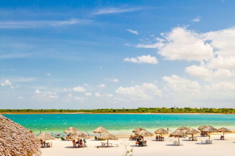 From Jericoacoara: Preá Beach and Paradise Lagoon Tour - Round-trip Transportation