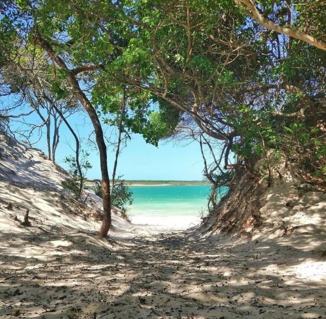 From Jericoacoara: Preá Beach and Paradise Lagoon Tour - Sand Dunes Photography