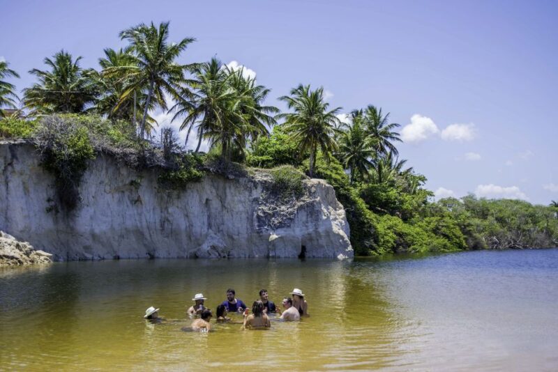 From João Pessoa: Full-Day Southern Coast Beaches Tour - Itinerary Highlights