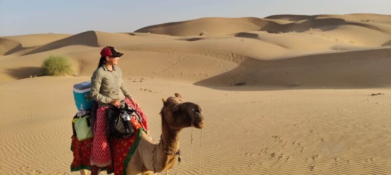 From Jodhpur: 2 Day Jaisalmer Tour With Nomadic Camel Safari - Itinerary Highlights