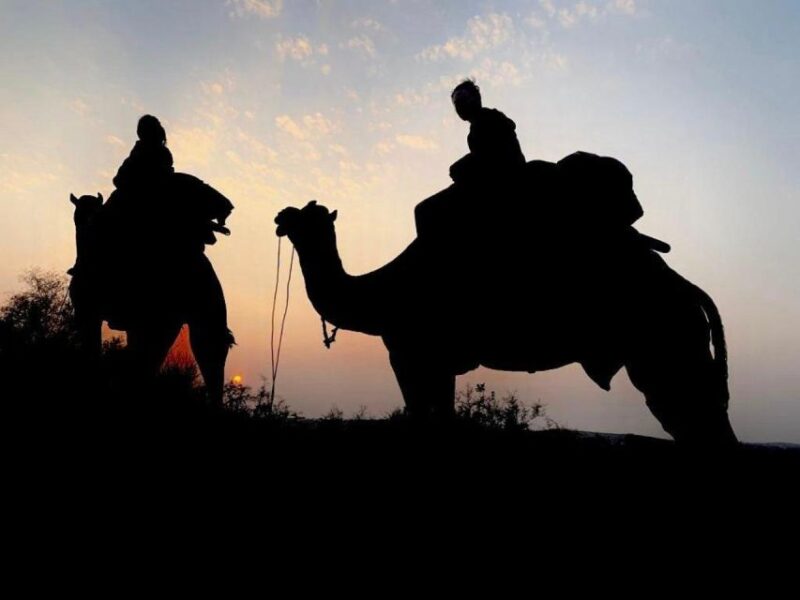 From Jodhpur : Camel Safari , Buffet Dinner + Folk Dance - Itinerary and Experience
