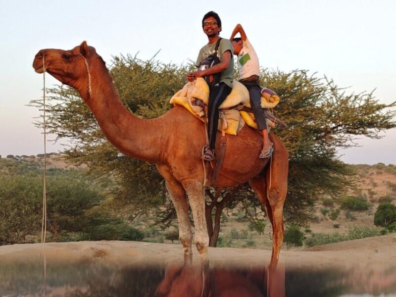 From Jodhpur Camel Safari & Overnight Stay In Desert - Cultural Experience