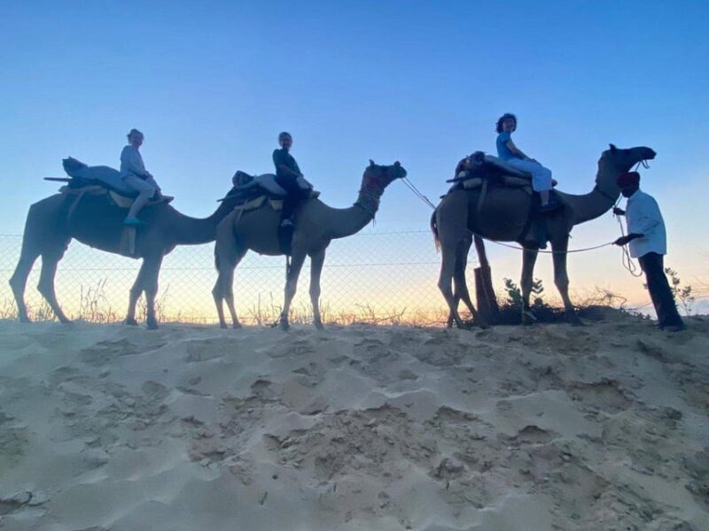 From Jodhpur Camel Safari & Overnight Stay In Desert - Inclusions
